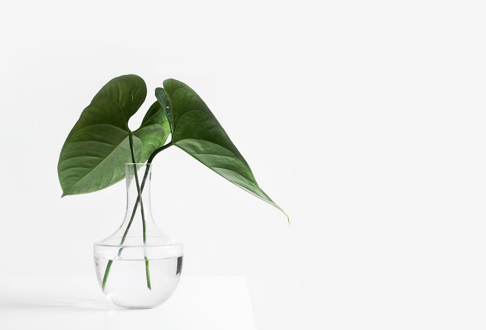 single-image3